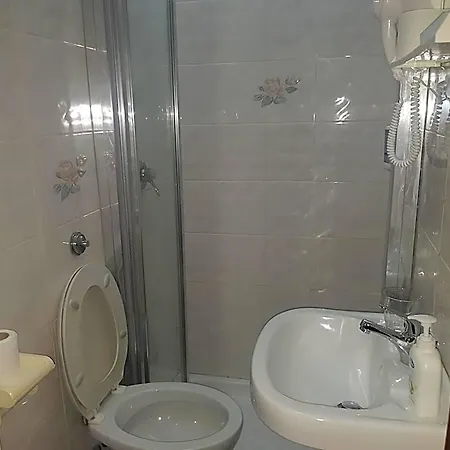 Aristotele 2* Rom